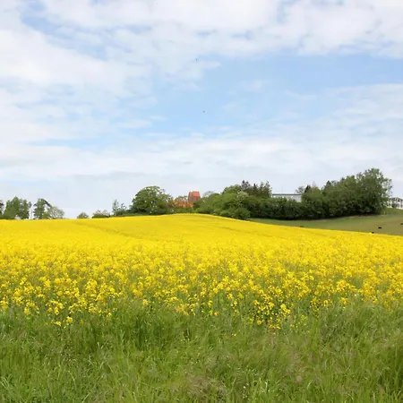 Appartement Haus Ruegen 08 Mit Sauna- Und Schwimmbadnutzung Im Ahoi Sellin Goehren (Ruegen)